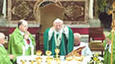Pope Benedict celebrating the Novus Ordo Liturgy