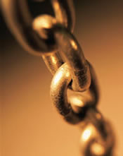 New links have been added to the following pages